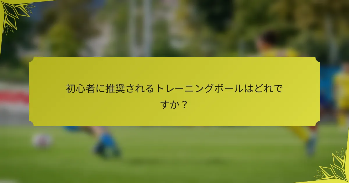 初心者に推奨されるトレーニングボールはどれですか？