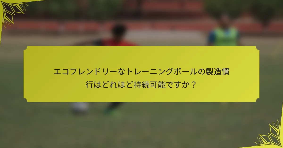 エコフレンドリーなトレーニングボールの製造慣行はどれほど持続可能ですか？