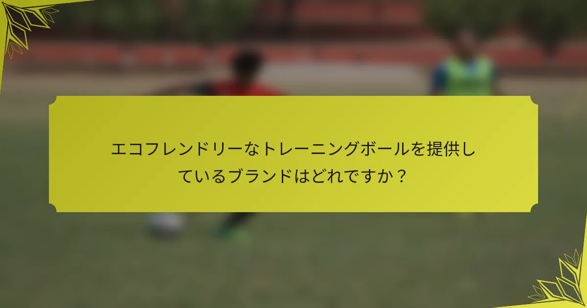 エコフレンドリーなトレーニングボールを提供しているブランドはどれですか？