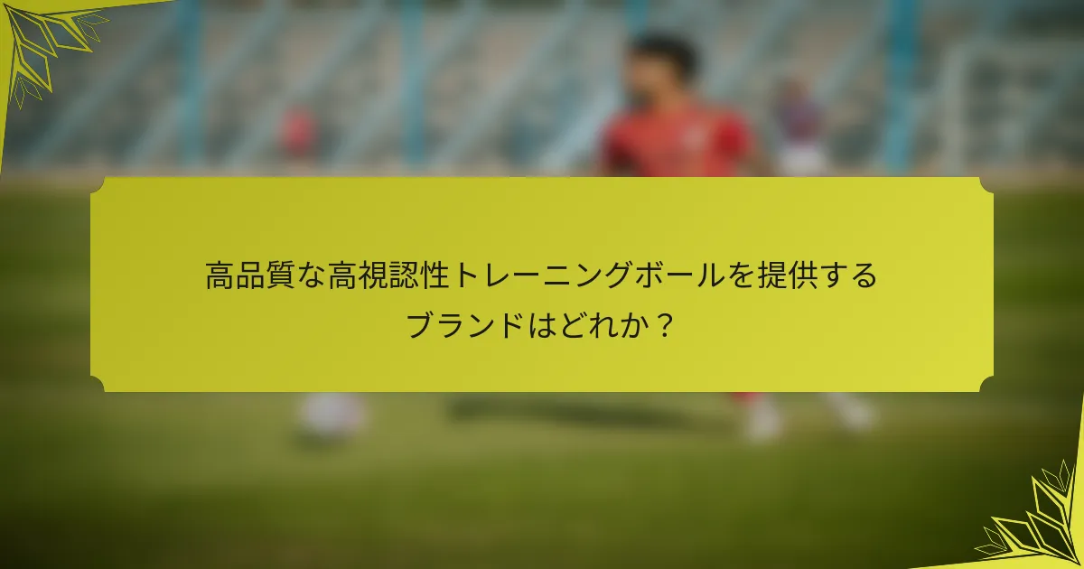 高品質な高視認性トレーニングボールを提供するブランドはどれか？