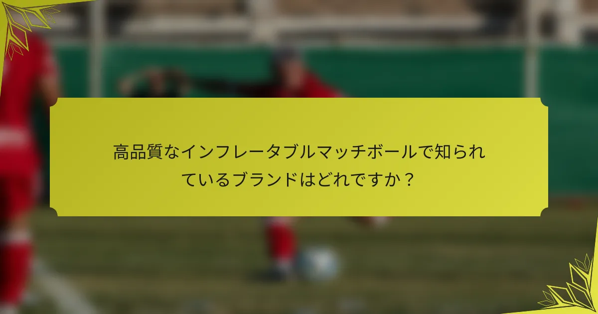 高品質なインフレータブルマッチボールで知られているブランドはどれですか？