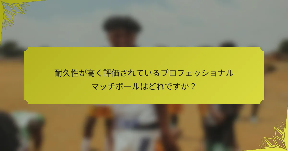 耐久性が高く評価されているプロフェッショナルマッチボールはどれですか？