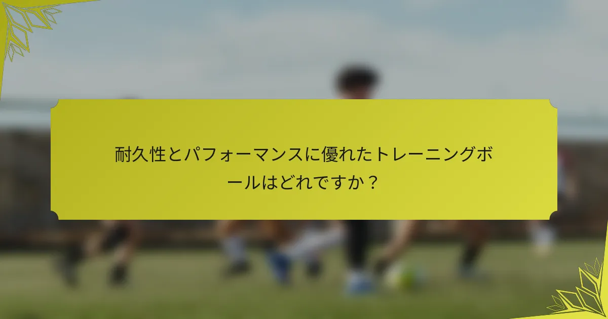 耐久性とパフォーマンスに優れたトレーニングボールはどれですか？