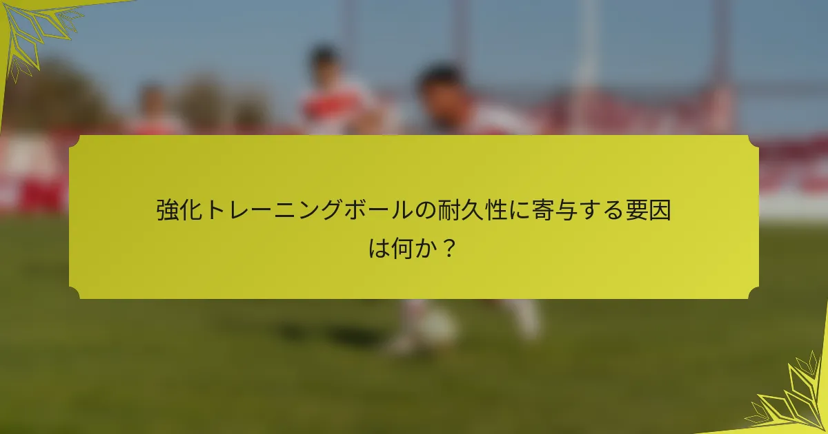 強化トレーニングボールの耐久性に寄与する要因は何か？