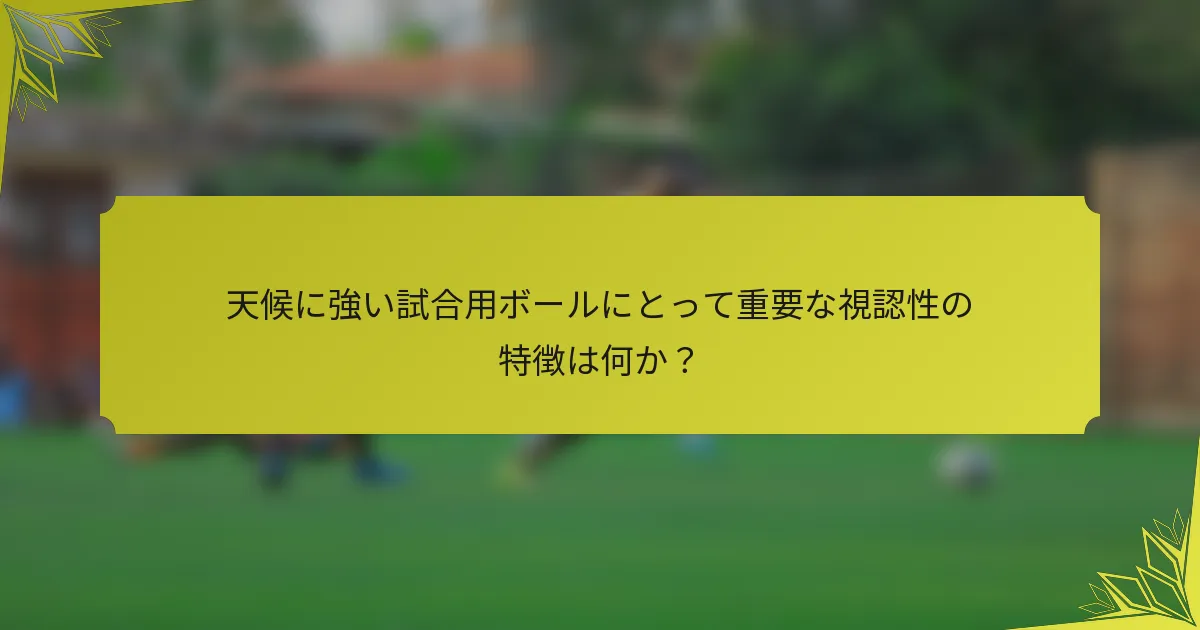 天候に強い試合用ボールにとって重要な視認性の特徴は何か？