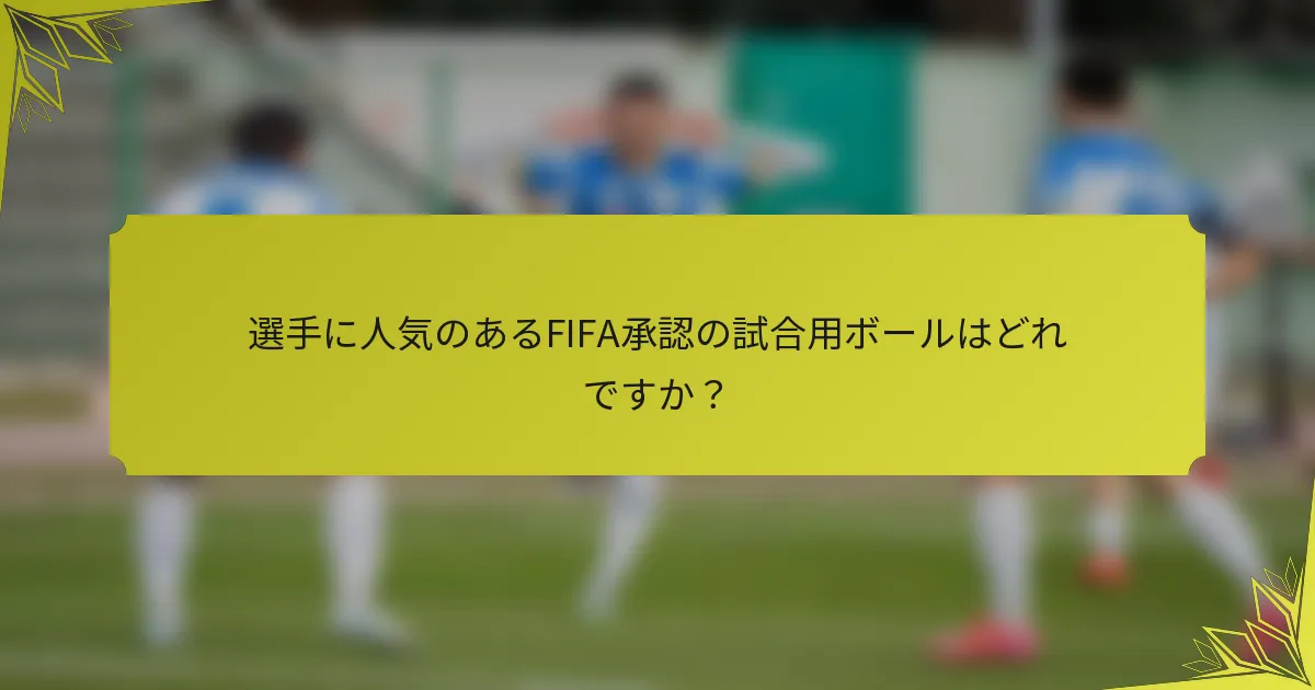 選手に人気のあるFIFA承認の試合用ボールはどれですか？